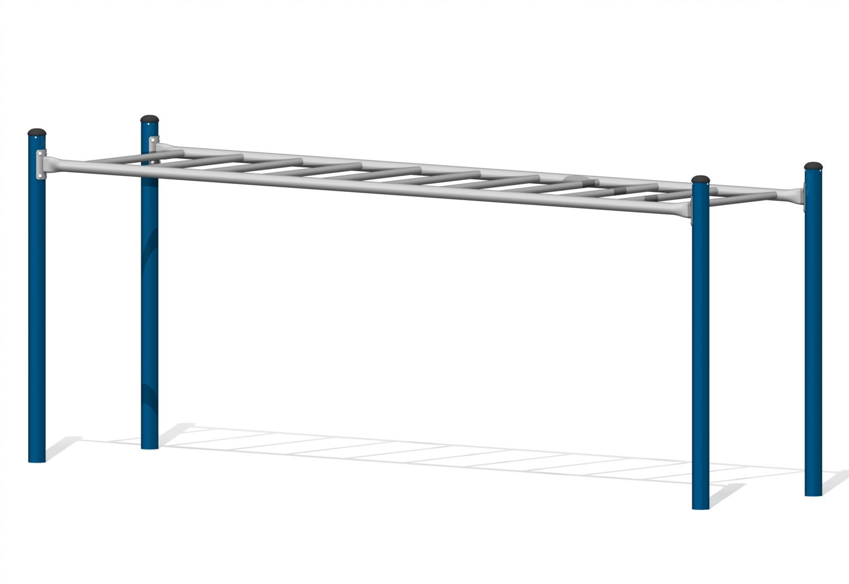 accessible-overhead-ladder-fyzik-z-21006